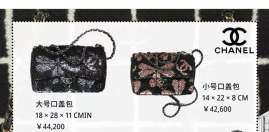 Picture of Chanel Handbags 2 _SKUfw239851530fw